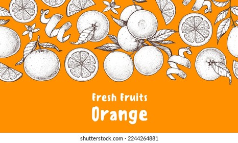 Orange fruit hand drawn design. Vector illustration. Design, package, brochure illustration. Orange fruit frame illustration. Design elements for packaging design and other.