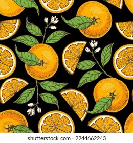 Orange fruit hand drawn design. Seamless pattern. Vector illustration. Design, package, brochure illustration. Orange fruit background. Design for packaging design and other.
