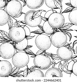 Orange fruit hand drawn design. Seamless pattern. Vector illustration. Design, package, brochure illustration. Orange fruit background. Design for packaging design and other.