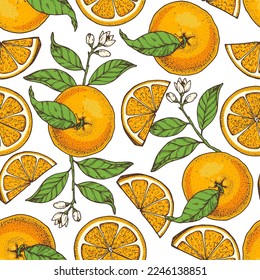 Orange fruit hand drawn design. Seamless pattern. Vector illustration. Design, package, brochure illustration. Orange fruit background. Design for packaging design and other.