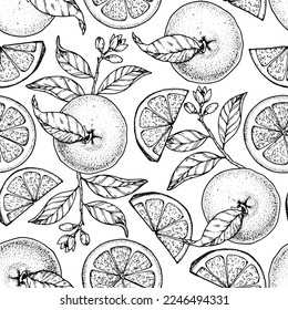 Orange fruit hand drawn design. Seamless pattern. Vector illustration. Design, package, brochure illustration. Orange fruit background. Design for packaging design and other.