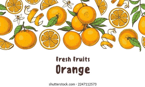 Orange fruit hand drawn design. Vector illustration. Design, package, brochure illustration. Orange fruit frame illustration. Design elements for packaging design and other.