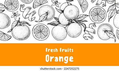 Orange fruit hand drawn design. Vector illustration. Design, package, brochure illustration. Orange fruit frame illustration. Design elements for packaging design and other.