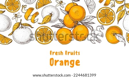 Orange fruit hand drawn design. Vector illustration. Design, package, brochure illustration. Orange fruit frame illustration. Design elements for packaging design and other. ストックフォト © 
