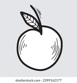 Orange fruit hand drawn with doodle style illustration.