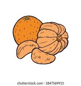 Orangefarbene, handgezeichnet, einzelne farbige Illustrationslogos. Einfache Beere voller Zitrussaft. Tangerine oder Mandarinenschälchen, Cartoon-Zeichnung. Organische natürliche tropische saftige Zutat.