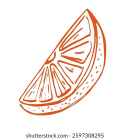 Orange Fruit Hand Drawn Linear Illustration. Outline Vector Illustration of Citrus Fruit. Eco Bio Food Drawing Isolated for Minimalist Design in Hand Drawn Style. Not AI