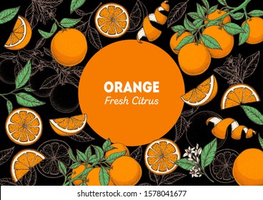 Orange fruit hand drawn package design. Orange tree frame template. Vector illustration. Menu design, brochure illustration. Colorful design. Citrus pattern illustration. Can used for packaging design