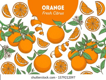 Orangefarbene, handgezeichnete Fruchtverpackung. Orangefarbene Baumrahmen-Vorlage. Vektorgrafik. Menüdesign, Broschüre Illustration. Farbiges Design. Zitrusmuster-Illustration. Kann für Verpackungsdesign verwendet werden