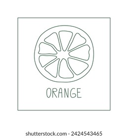 Orange fruit hand drawn vector line illustration. Healthy natural plant, cooking, aromatherapy, garden, medicinal. Outline sketch floral doodle clipart