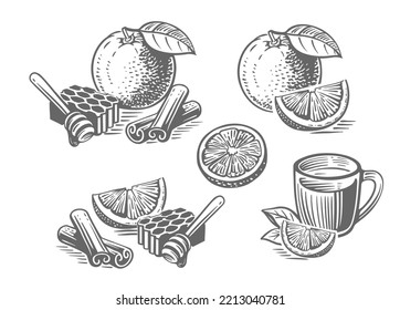 Orange fruit with honey and cinnamon drawing sketch.