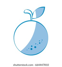 orange fruit icon