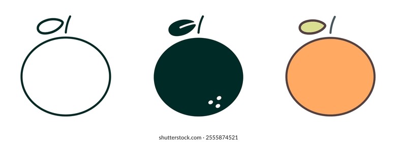 Orange Fruit icon collection simple design Editable Transparent isolate background