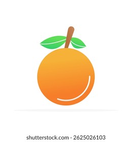 orange fruit icon, colored flat vector. modern and minimalist design.
