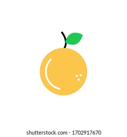 orange fruit icon flat style design vector illustration. isolated on white background