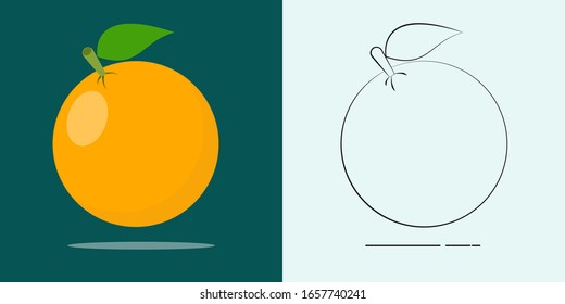 orange fruit icon, flat vector illustration & flat vector outline