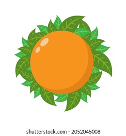 Orange fruit icon illustration vector