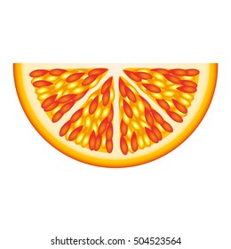 orange fruit icon image 