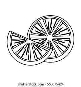 orange fruit icon image 