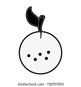 orange fruit icon image 