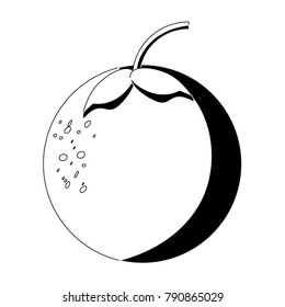 orange fruit icon image
