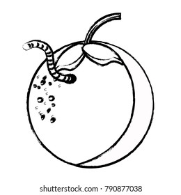 orange fruit icon image