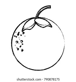 orange fruit icon image