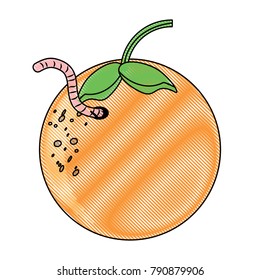 orange fruit icon image