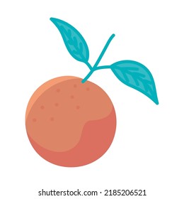 orange fruit icon isolated flat