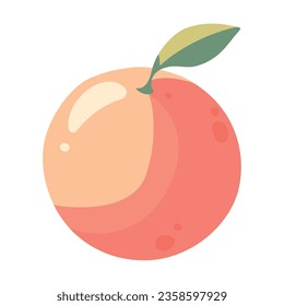 orange fruit icon isolated vector