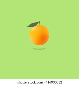 Orange fruit icon with leaf. Healthy lifestyle background. Flat design. Vector illustration