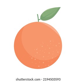 orange fruit icon on white background