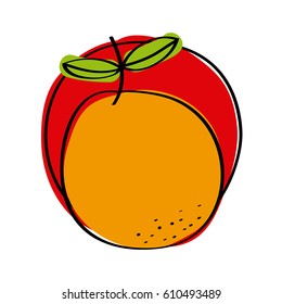 orange fruit icon over white background. colorful design. vector illustration