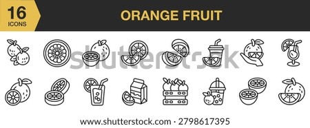 Orange Fruit icon set. Includes citrus slices, whole oranges, juice, fresh produce and More. Outline icons vector collection.