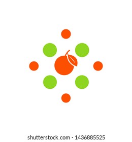 orange fruit icon symbol vector logo design illustration
