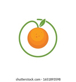 orange fruit icon vector logo illustration template