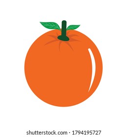 símbolo del vector del icono de la fruta naranja ilustraciones aisladas fondo blanco