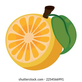 orange fruit icon white background