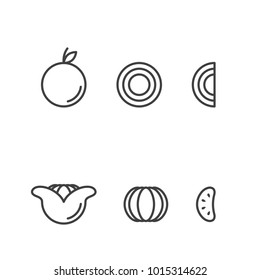 Orange fruit icons outline stroke set design illustration black and white color isolated on white background, vector eps10
