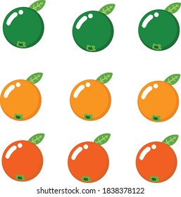 
iconos de frutos anaranjados Ilustración vectorial.
