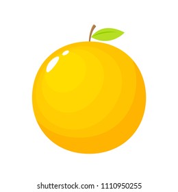 orange fruit illustration