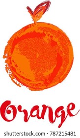 Orange fruit illustration