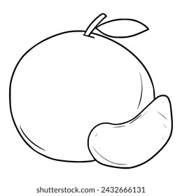 orange fruit illustration hand drawn outline sketch vector