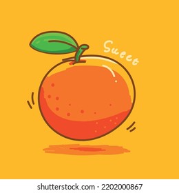 Orange fruit illustration hand drwan style