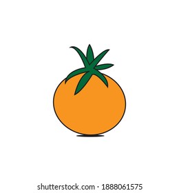 orange fruit illustration on white background 