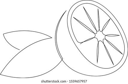 Orange fruit illustration. One continuous line minimal style. Vector