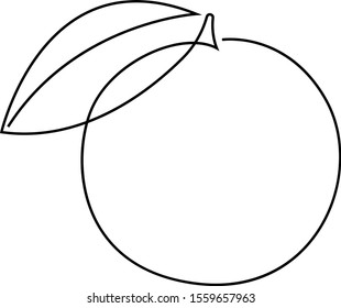 Orange fruit illustration. One continuous line minimal style. Vector - Shutterstock ID 1559657963