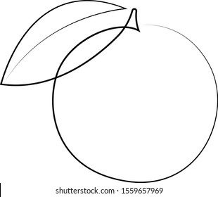Orange fruit illustration. One continuous line minimal style. Vector - Shutterstock ID 1559657969