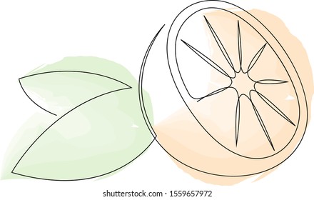 Orange fruit illustration. One continuous line minimal style. Vector