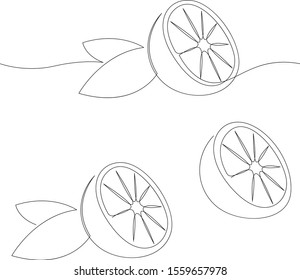Orange fruit illustration. One continuous line minimal style. Vector